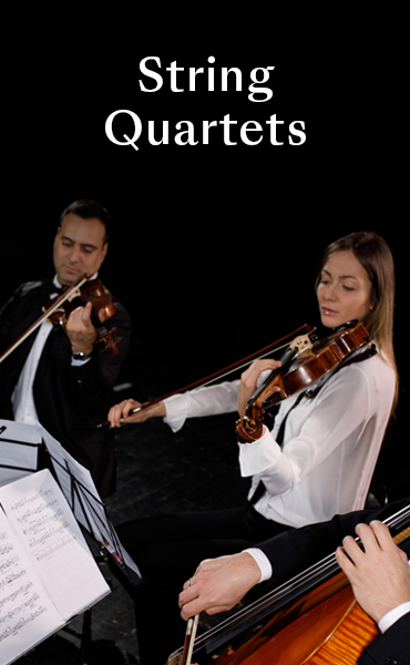 Shop String Quartets