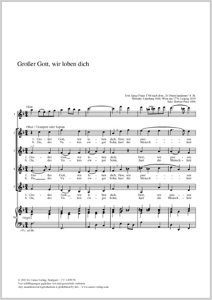 Book cover for Grosser Gott, wir loben dich