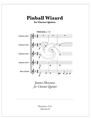 Book cover for Pinball Wizard