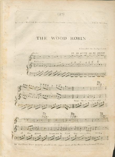 The Wood Robin