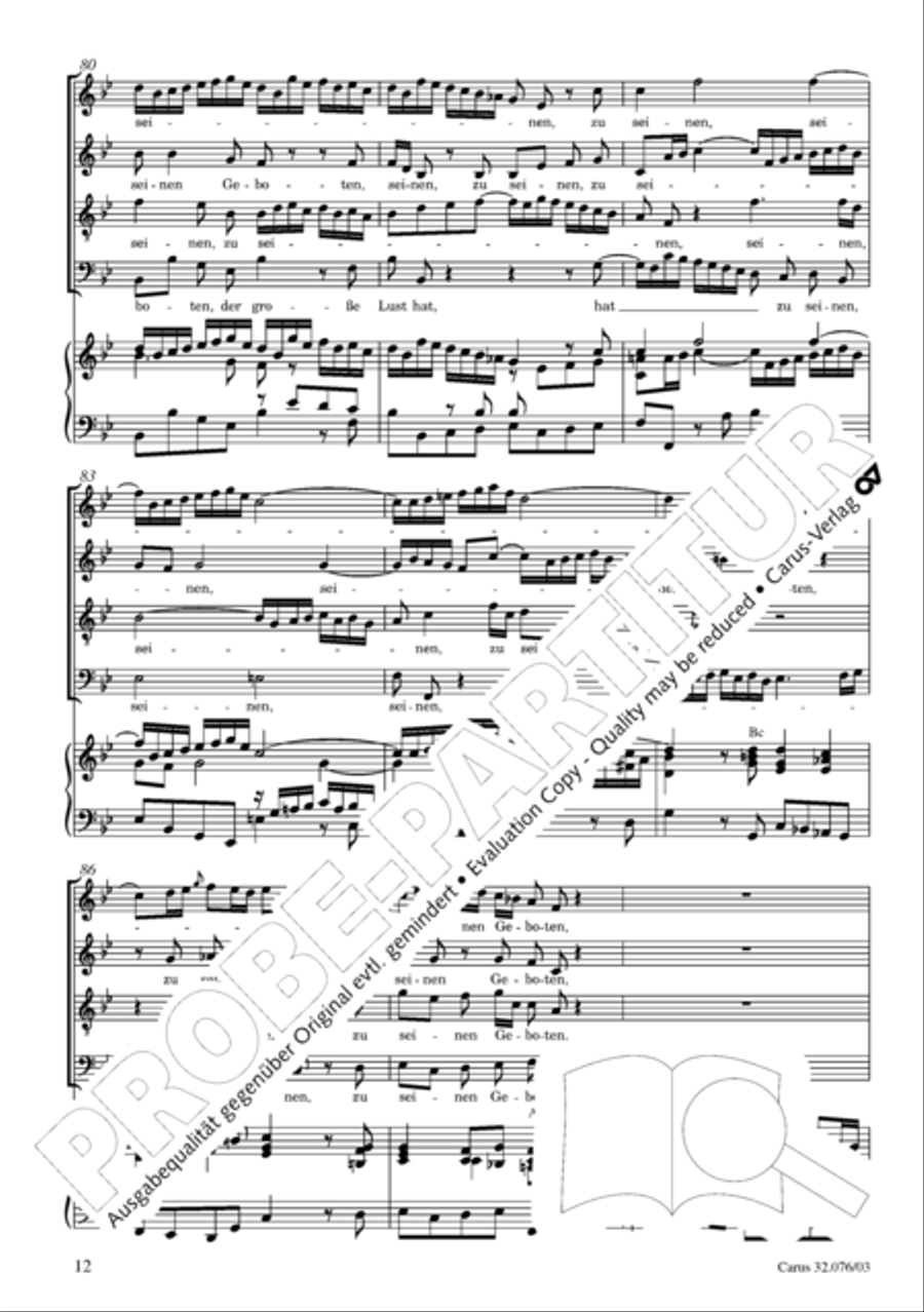 Blessed are all those who fear God (Wohl dem, der den Herren furchtet) SA scores gallery preview page 13