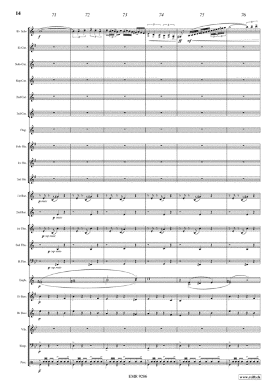 Fantasia del Tango Brass Band scores gallery preview page 14