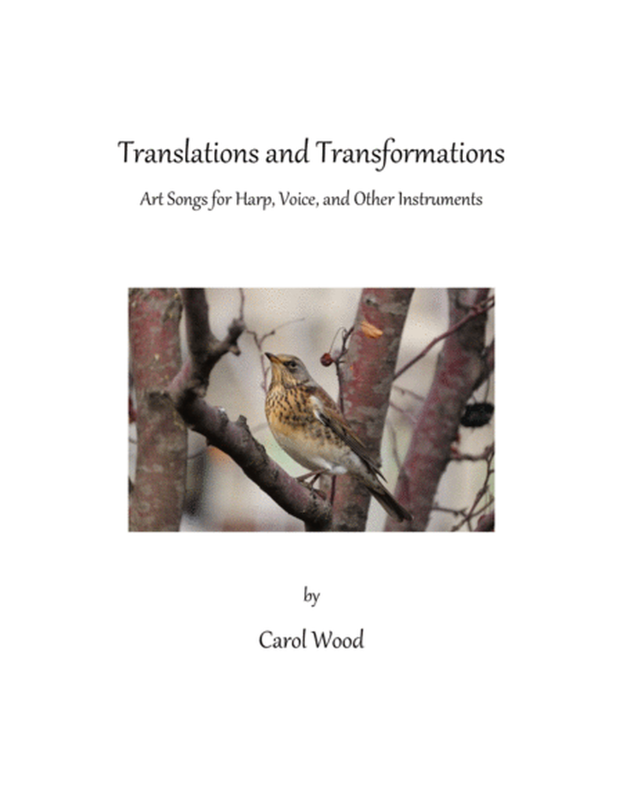 Translations and Transformations