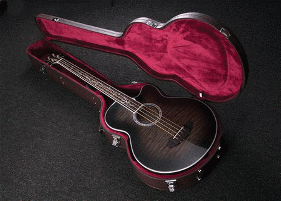 Acoustic Bass Guitar Hard Case Double Bass scores gallery preview page 3