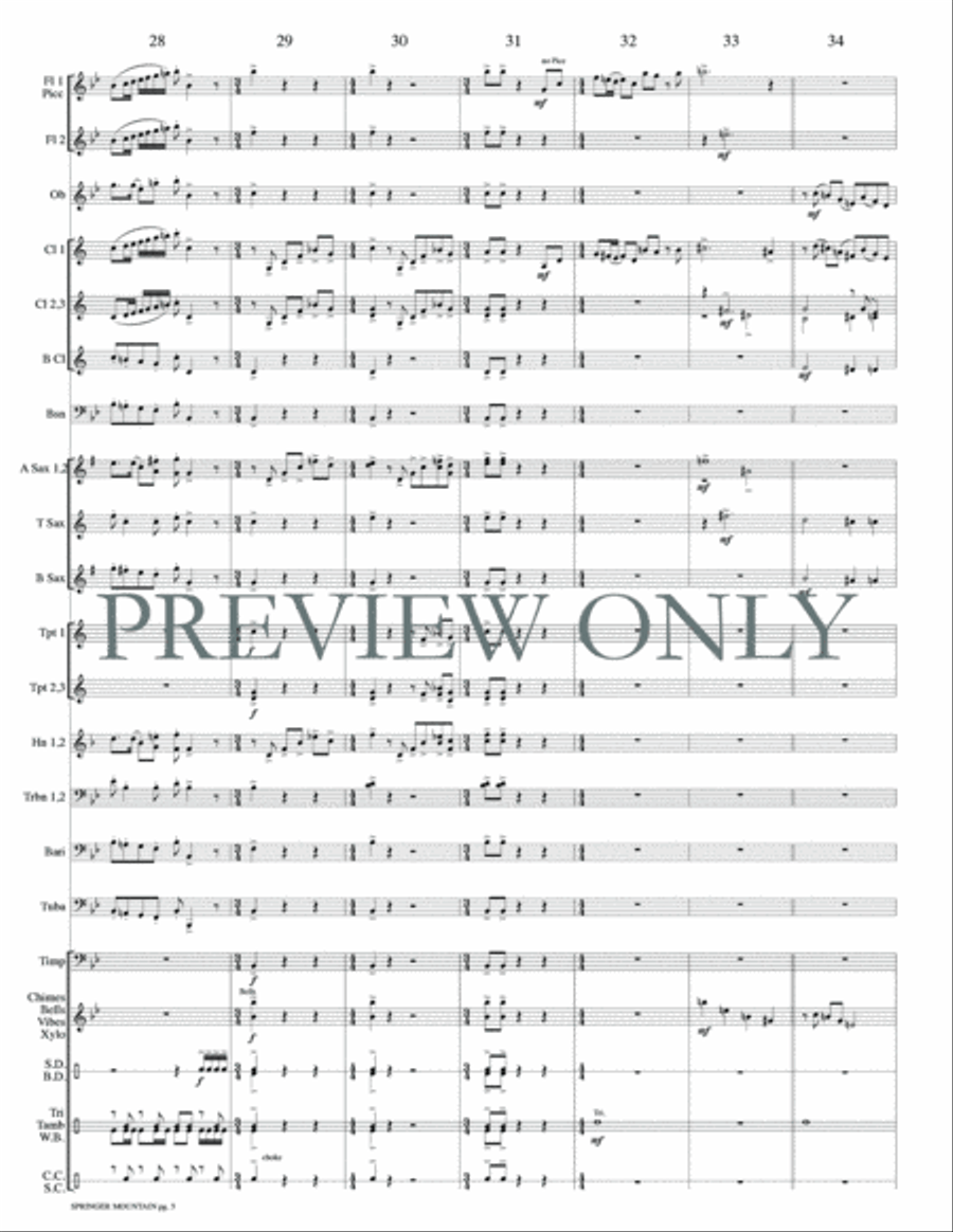 Springer Mountain Springer Mountain Concert Band scores gallery preview page 8