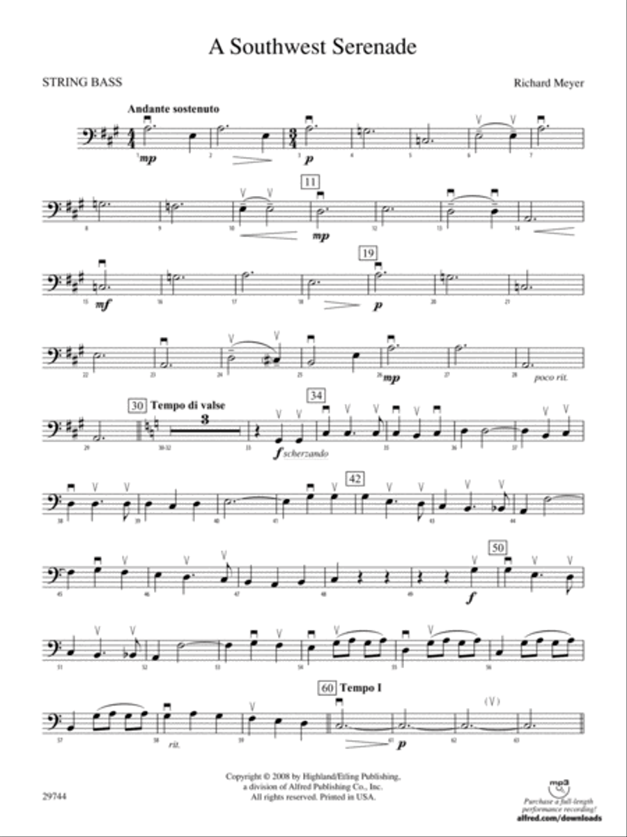 A Southwest Serenade: String Bass String Orchestra scores gallery preview page 1