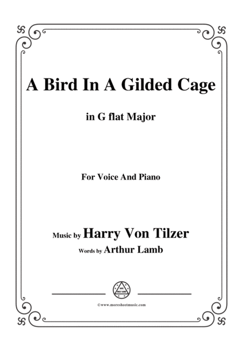 Harry Von Tilzer-Bird In A Gilded Cage,in G flat Major,for Voice&Piano image number null