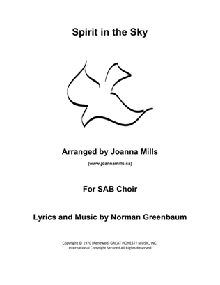 Book cover for Spirit In The Sky