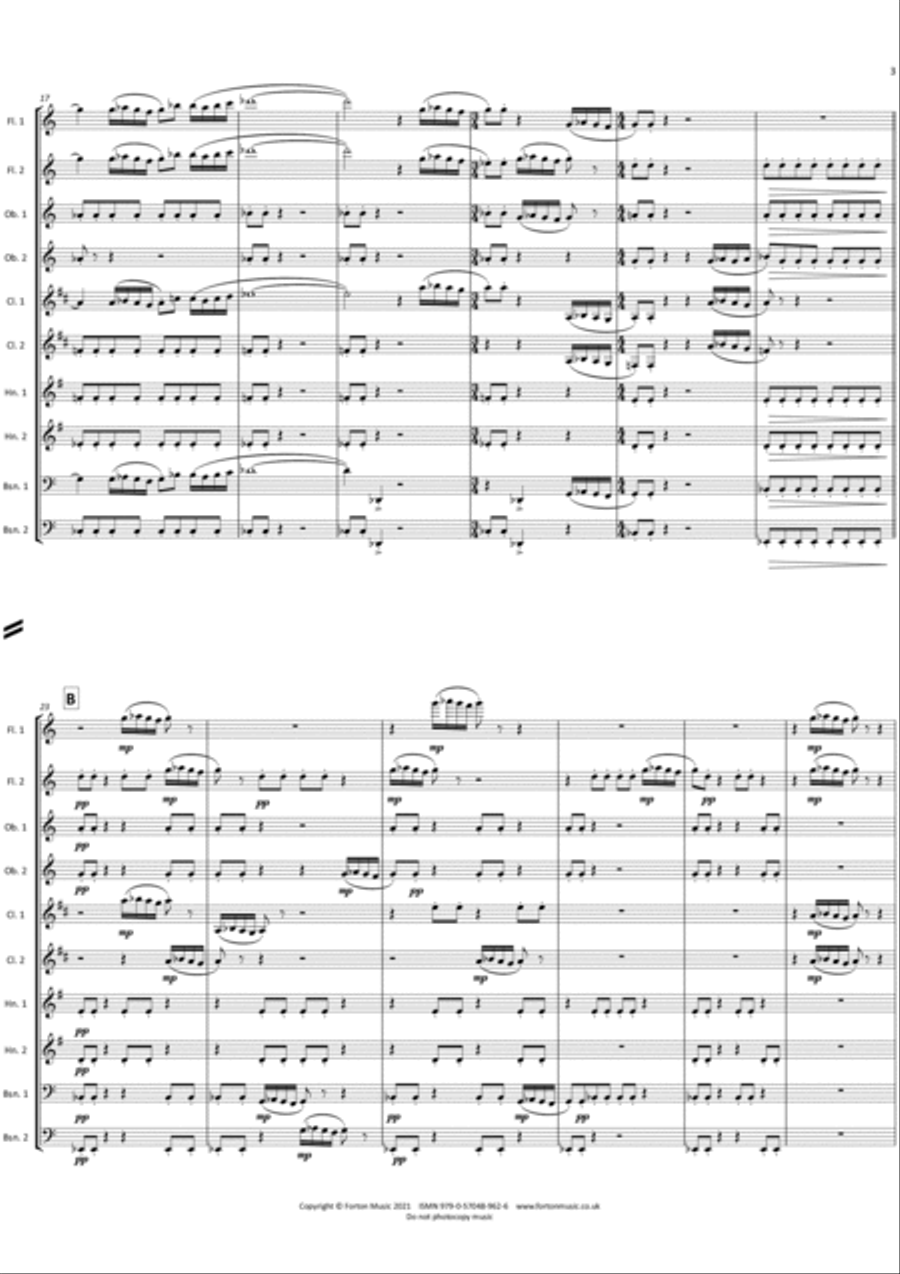 Like A Twisty, Turny Thing… Bassoon scores gallery preview page 3