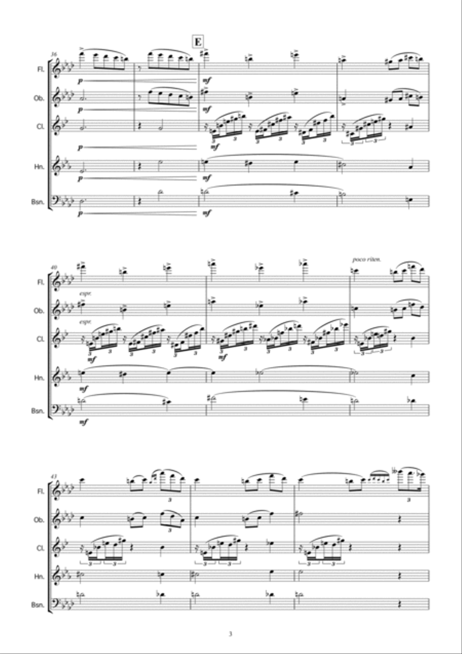 Tchaikovsky: THE SEASONS op.37 No.1 January (By the Hearth) Woodwind Quintet scores gallery preview page 5