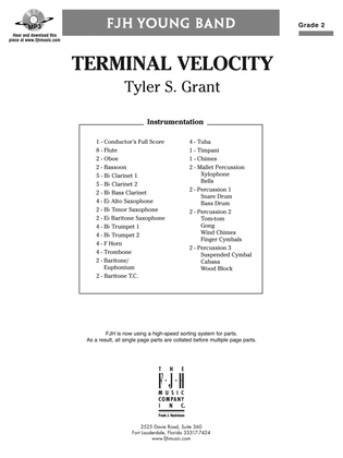 Terminal Velocity: Score