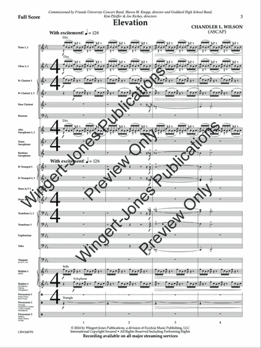 Elevation (Score) Concert Band scores gallery preview page 4