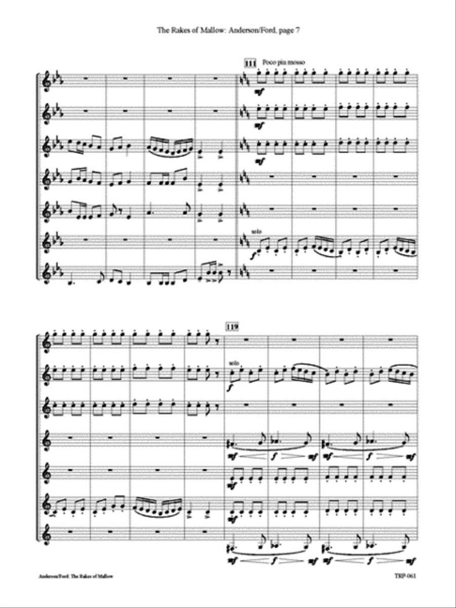 The Rakes of Mallow Small Ensemble scores gallery preview page 3