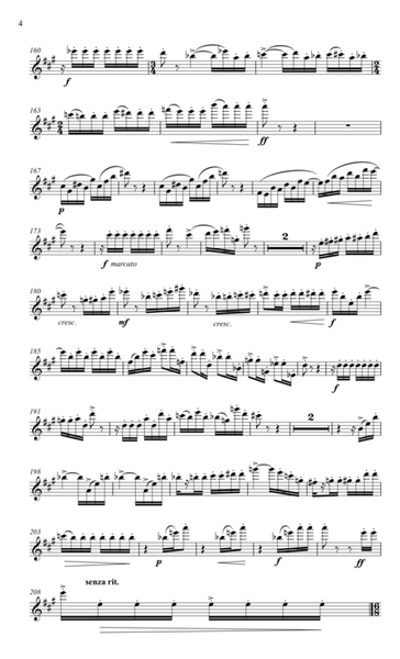 Concerto for flute & strings  Digital Sheet Music