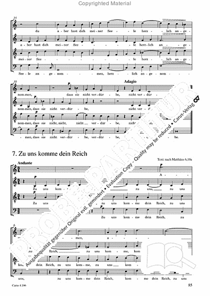 Die geistliche Chormusik a cappella