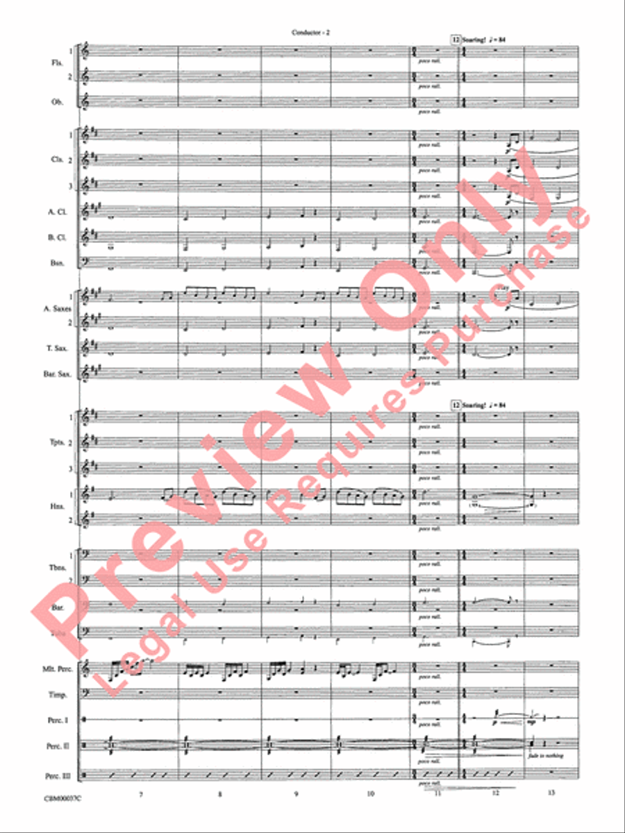 The Perfect Storm (from the Warner Bros. Motion Picture) Concert Band scores gallery preview page 5