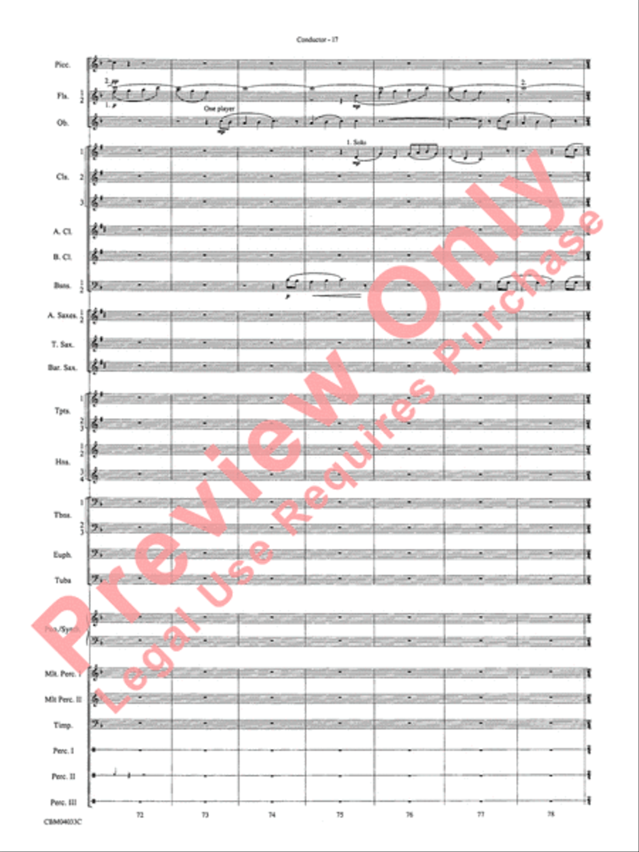 The Polar Express, Concert Suite from Concert Band scores gallery preview page 19