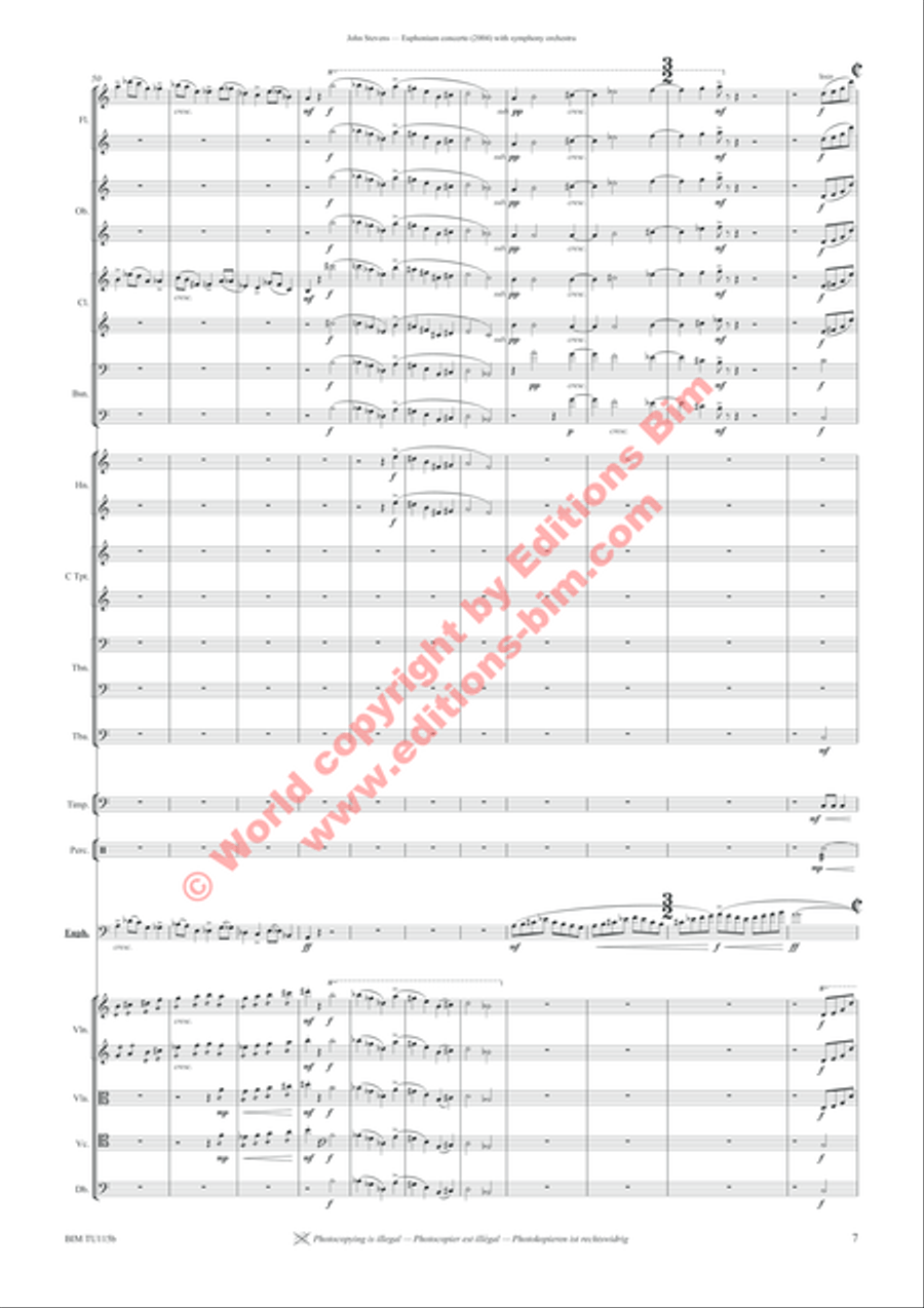 Euphonium Concerto Full Orchestra scores gallery preview page 11