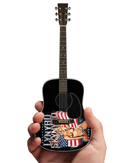 Lynyrd Skynyrd - Acoustic Guitar