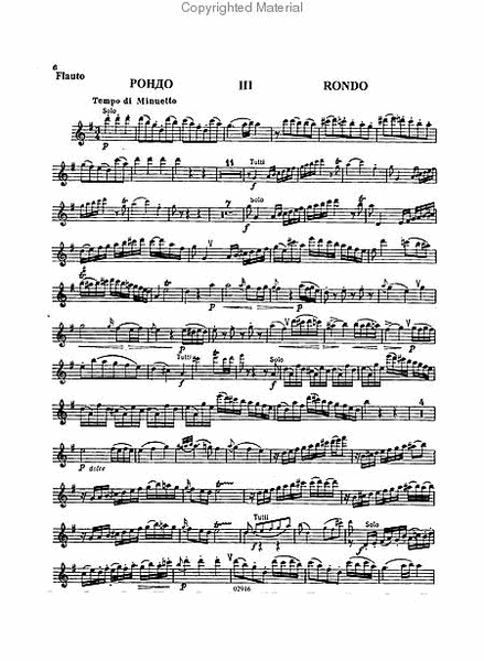 Flute Concerto No. 1 in G K313