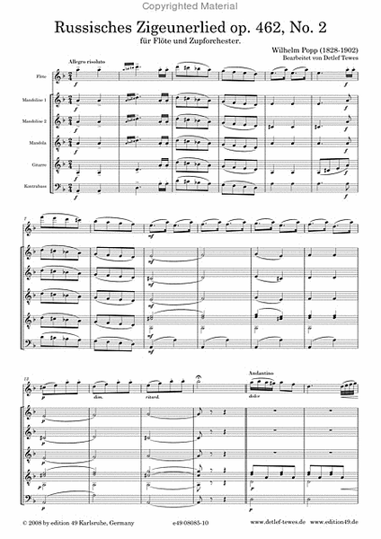 Russisches Zigeunerlied op. 462, No. 2