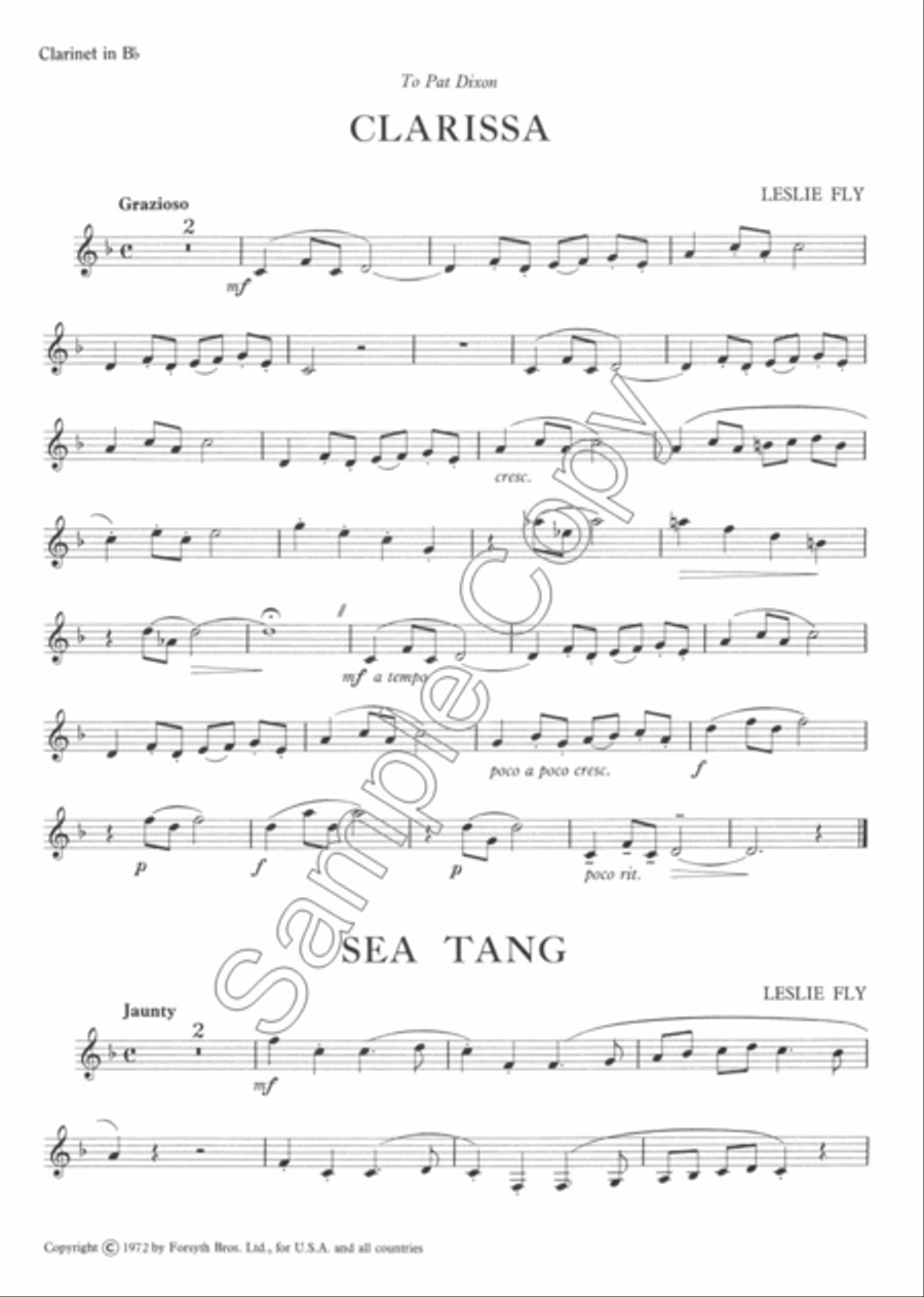 Sea Tang Clarinet Solo scores gallery preview page 3
