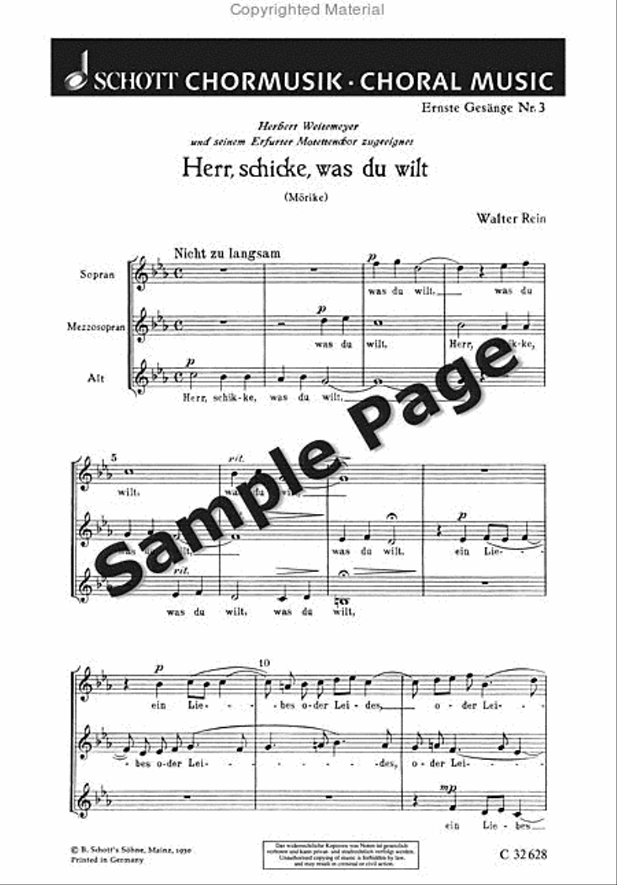 Rein W Herr Schicke Rein W Herr Schicke SMezA scores gallery preview page 2