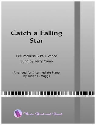 Book cover for Catch A Falling Star