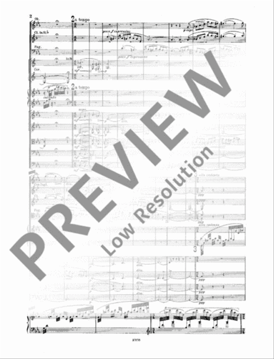 Piano Concerto C Minor Piano Solo scores gallery preview page 7