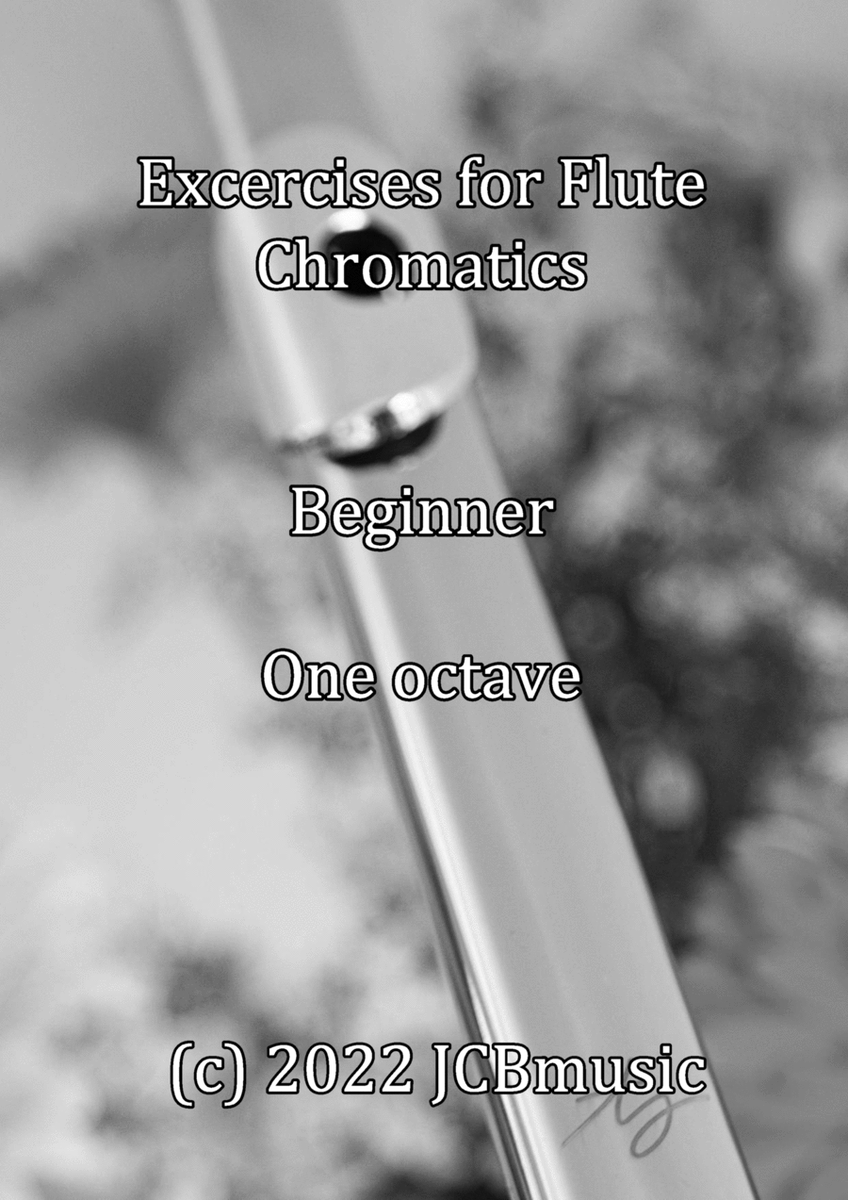 Exercises for Flute - Chromatics for Beginner, One octave image number null