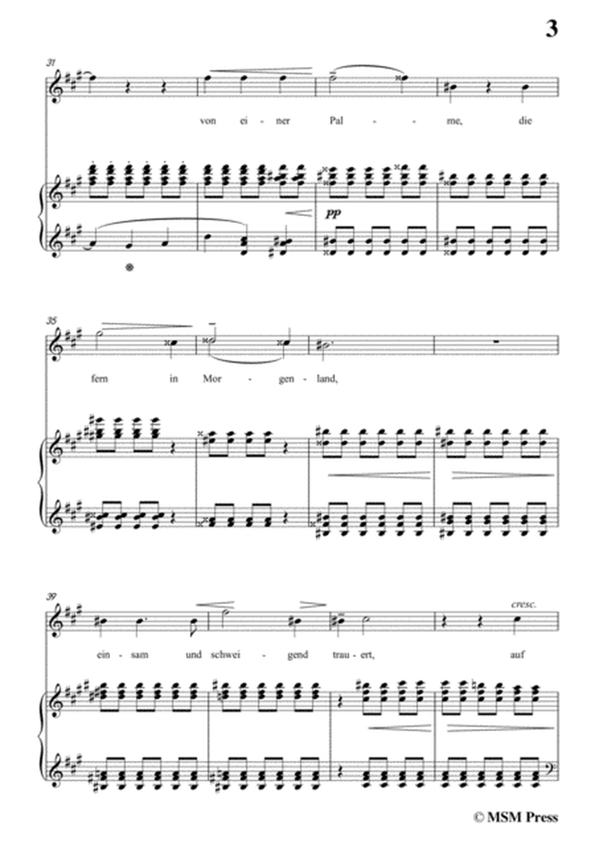 Liszt-Ein fichtenbaum stent einsam in f sharp minor,for Voice and Piano image number null