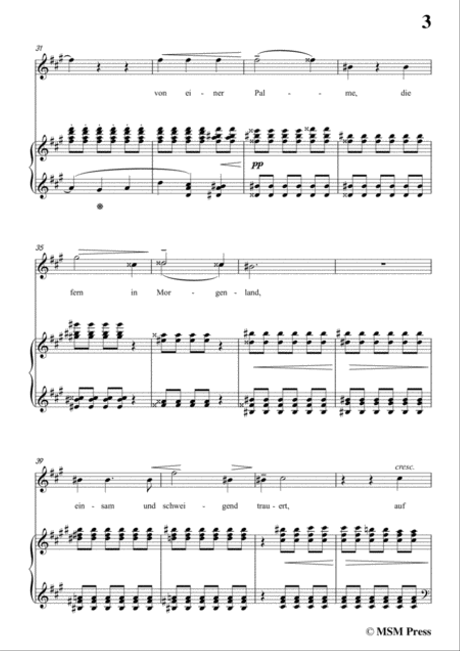 Liszt-Ein fichtenbaum stent einsam in f sharp minor,for Voice and Piano Voice Solo scores gallery preview page 5