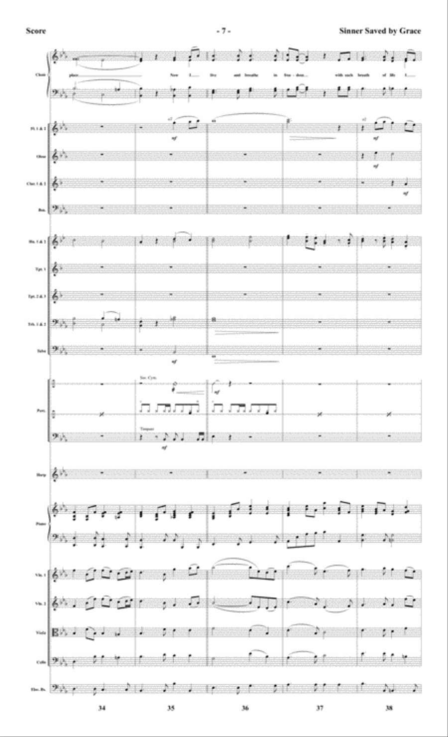 Sinner Saved by Grace - Orchestral Score and Parts Choir scores gallery preview page 9