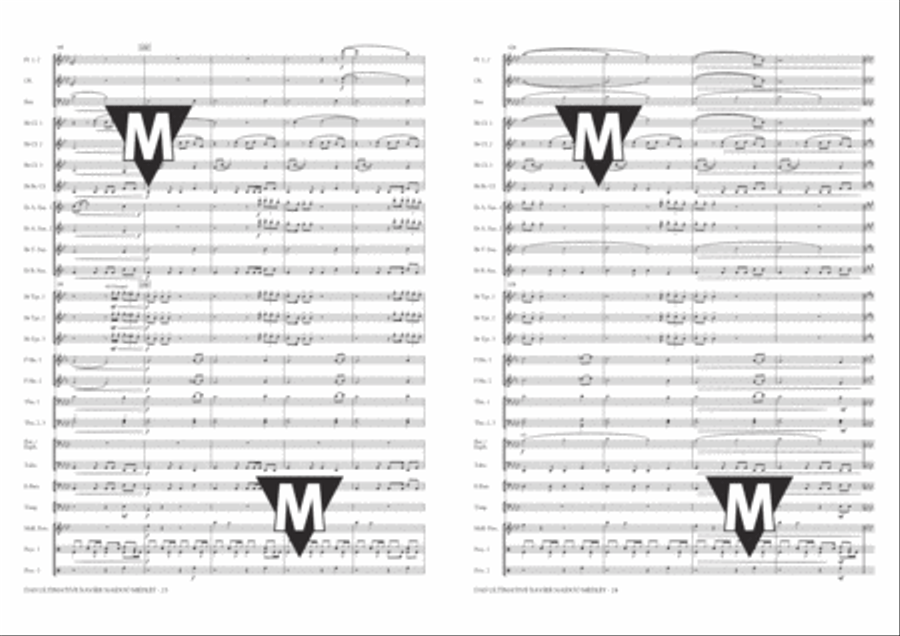 Das Ultimative Xavier Naidoo Medley Concert Band scores gallery preview page 13