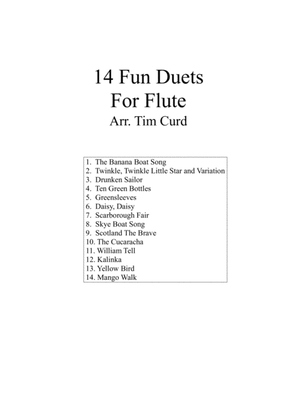Book cover for 14 Fun Duets For Flute