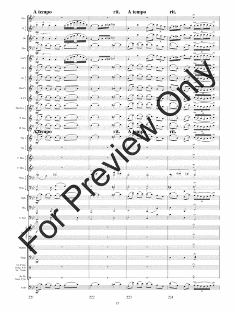 Festival Variations Concert Band scores gallery preview page 40