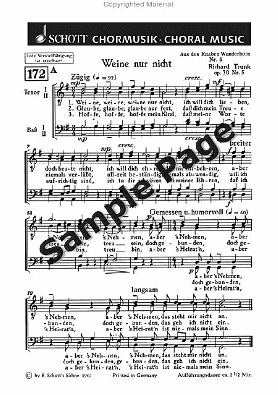 Weine Nur Nicht/biwak Men's Choir scores gallery preview page 2