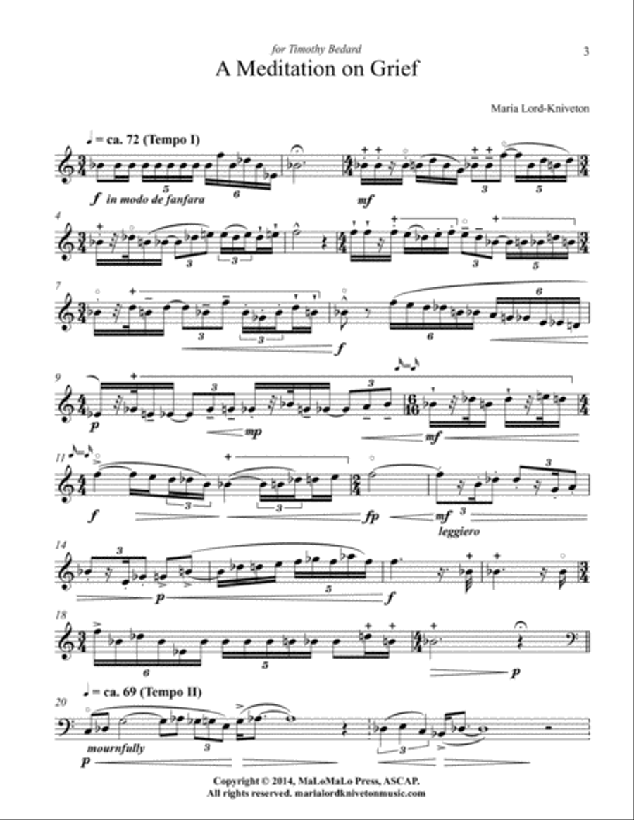 A Meditation on Grief Horn Solo scores gallery preview page 3