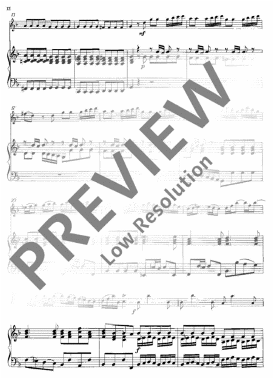 Concerto No. 2 G minor Flute scores gallery preview page 13