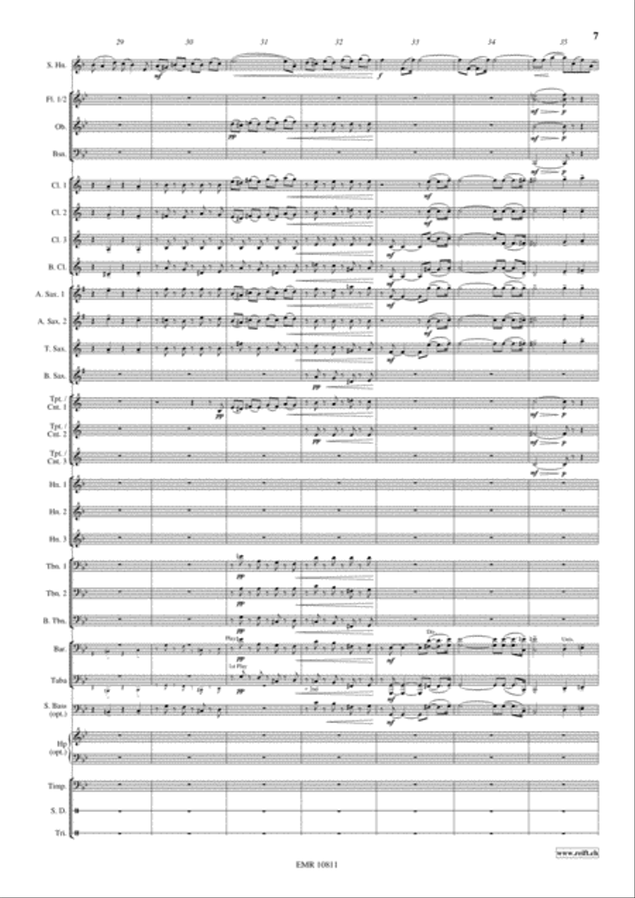 Horn Concerto Concert Band scores gallery preview page 8