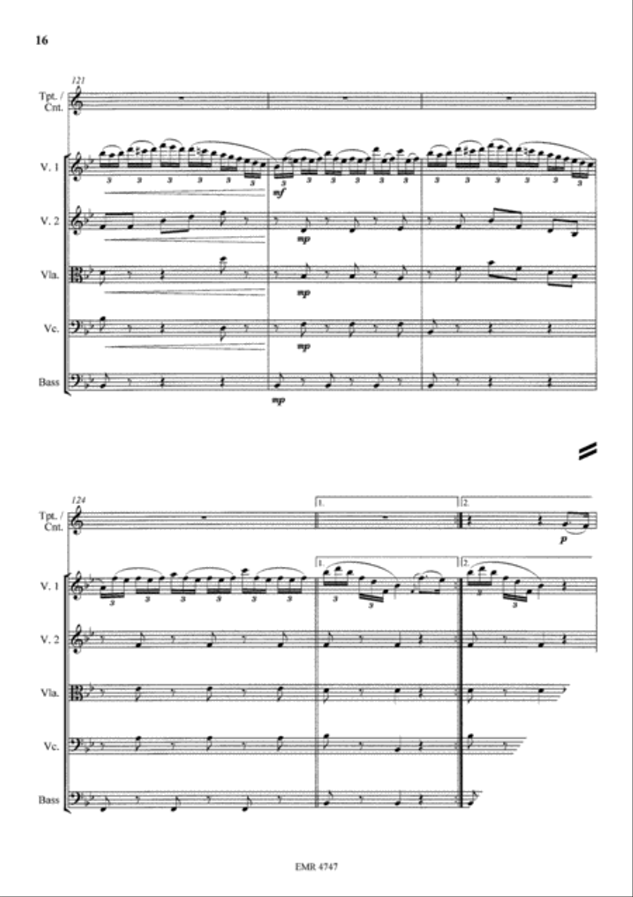 Variations On The Tyrolienne String Orchestra scores gallery preview page 16