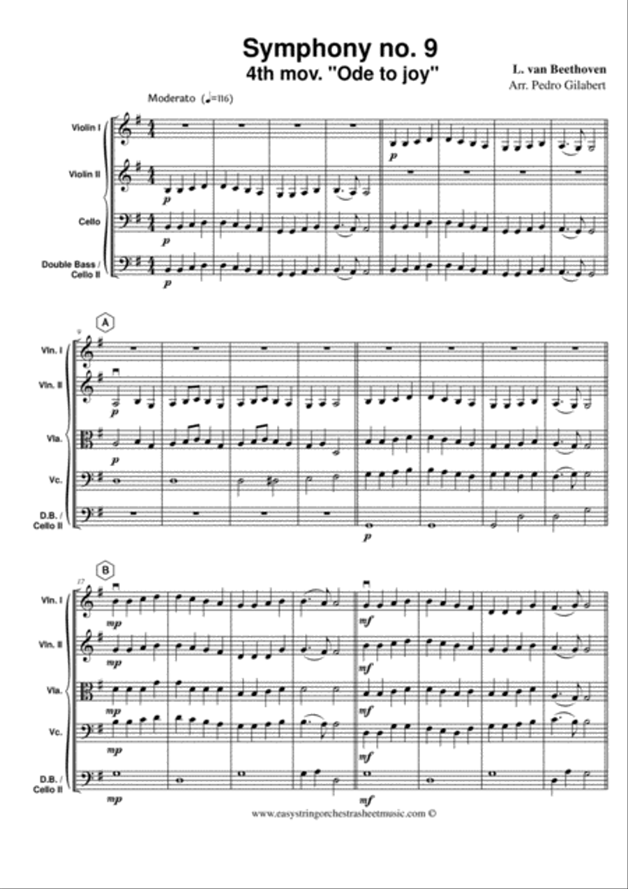 Beethoven symphony deals 9 instrumentation