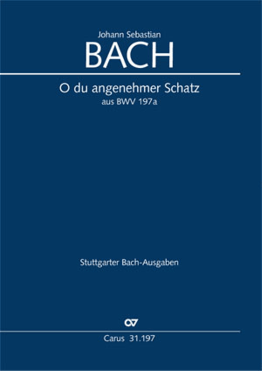O du angenehmer Schatz O du angenehmer Schatz Bassoon scores gallery preview page 1