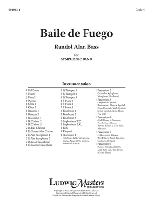 Book cover for Baile de Fuego