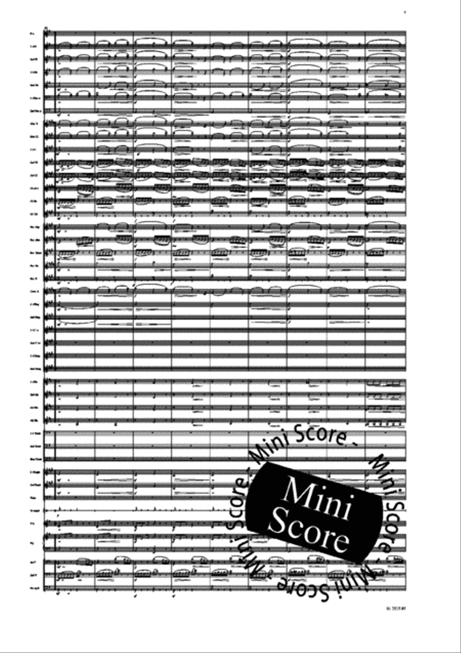 Ma Vlast Concert Band scores gallery preview page 9