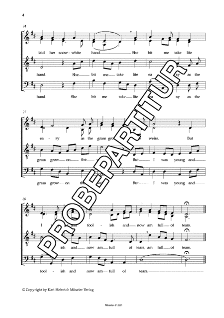 Vier irische Folksongs Vier irische Folksongs 4-Part scores gallery preview page 5