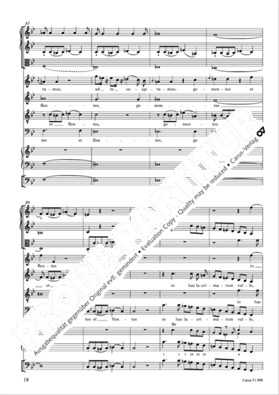 Salve Regina in g Salve Regina in g 4-Part scores gallery preview page 19