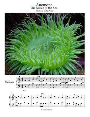 "Anemone" Music of the Sea