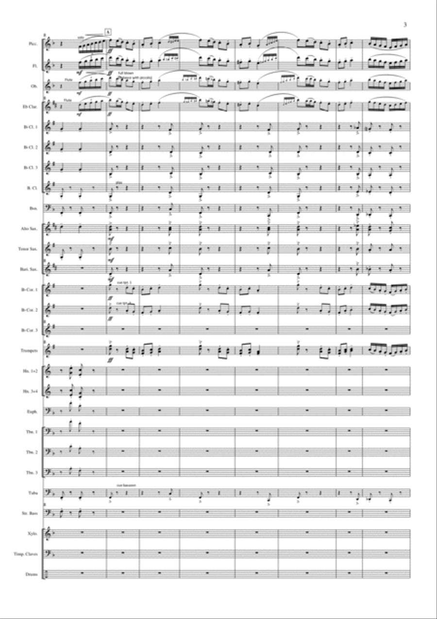 Rollicking Rakes Concert Band scores gallery preview page 2