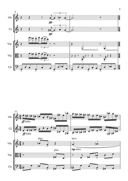 Vexations for Mixed Quintet